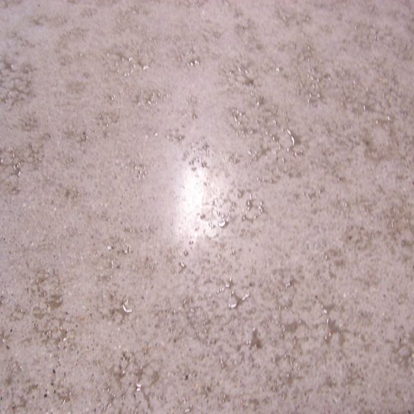 Polished Concrete Floors in Pocatello, Idaho | Silver Crest Corp.